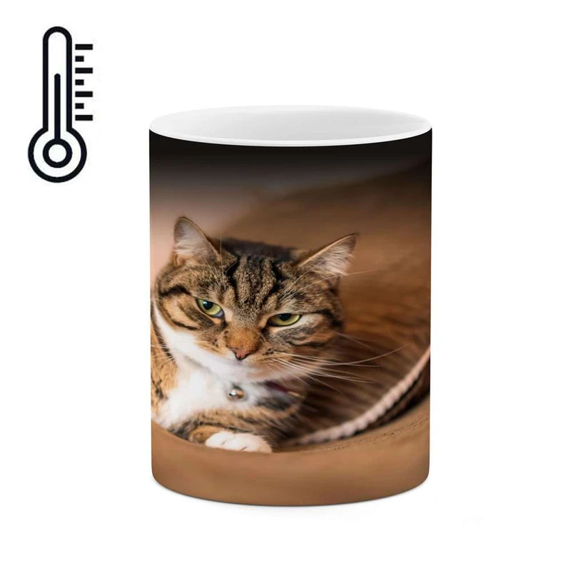 ماگ حرارتی کاکتی مدل گربه کد mgh16437