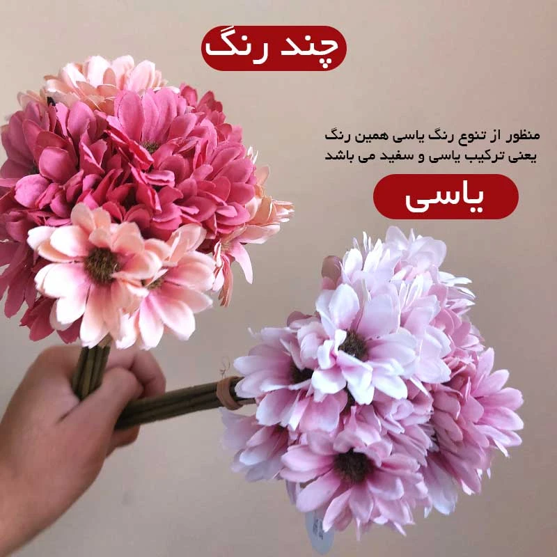 عکس شماره 5