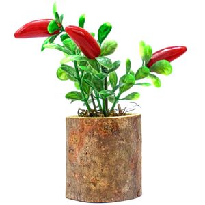 نقد و بررسی گلدان گل آناترا مدل Red Pepper توسط خریداران