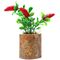 گلدان گل آناترا مدل Red Pepper