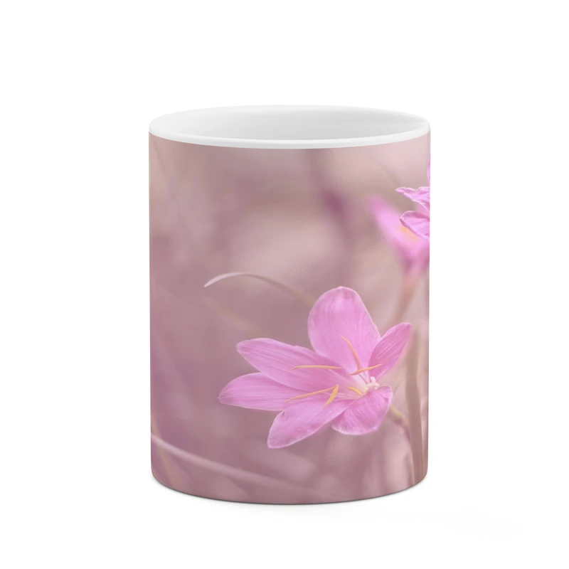 ماگ کاکتی مدل گل کد mgh17243