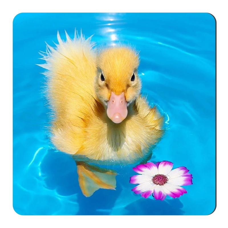  مگنت طرح جوجه اردک کد NIM491
