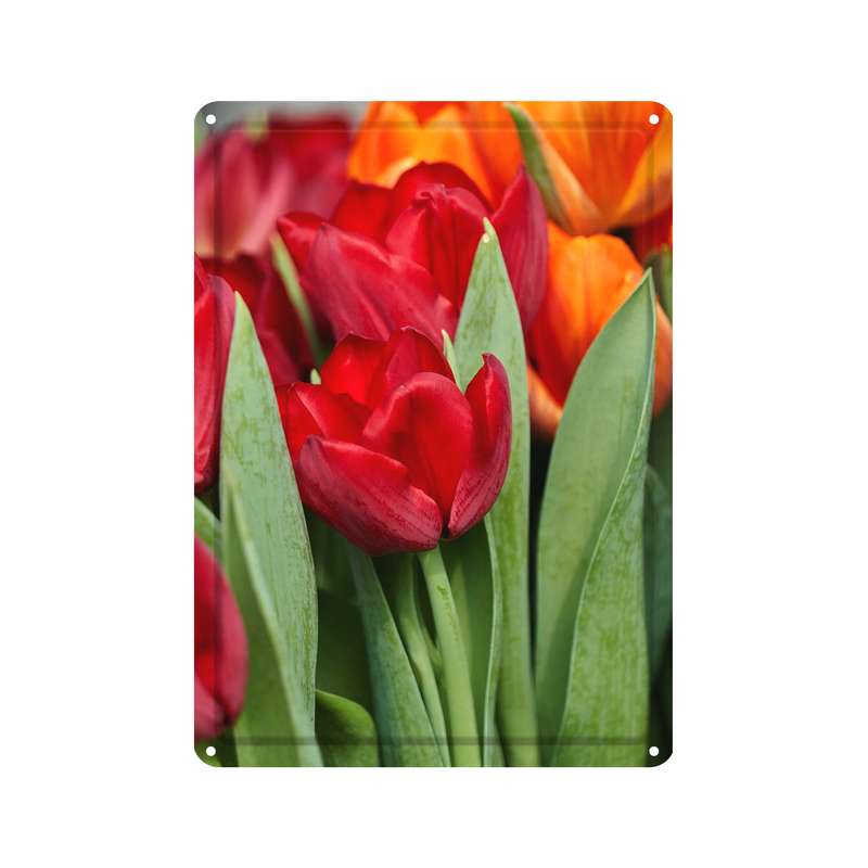 دیوارکوب مدل گل کد s 1705