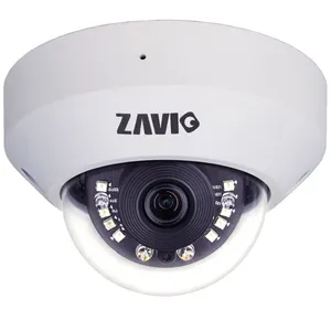 دوربین تحت شبکه Full HD زاویو مدل D4210