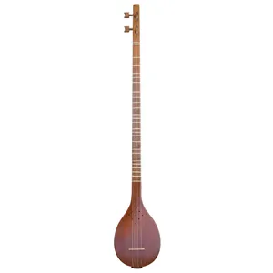 Hesam Malekshahi Setar