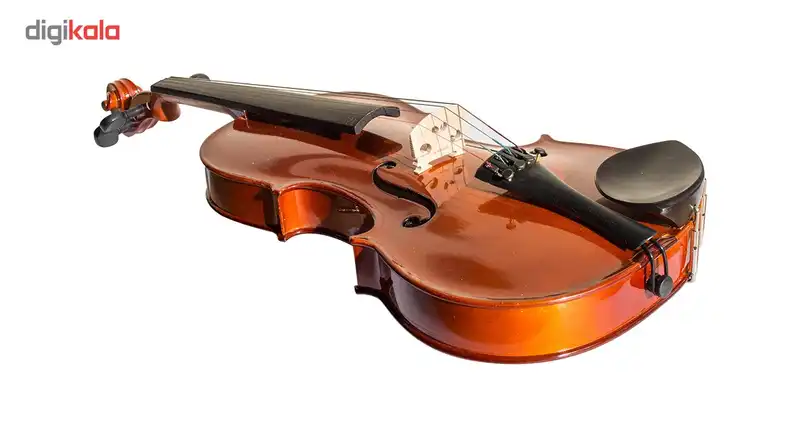 ویولن فونیکس مدل VT 202 E 4/4