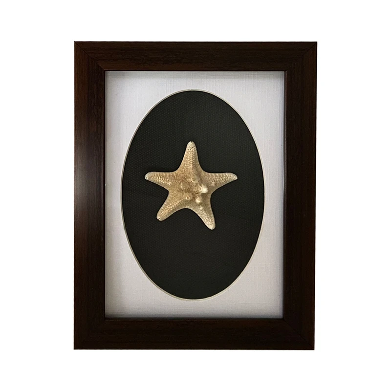 تابلو بکلیت مدل صدف دریایی W-204-1318 فریم قهوه ای