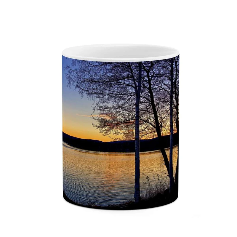 ماگ کاکتی مدل منظره کد mgh13277