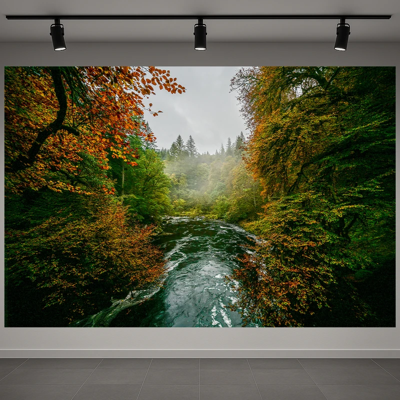 تابلو بوم طرح مخمل جنگل بارانی مدل مه کد AR3059992