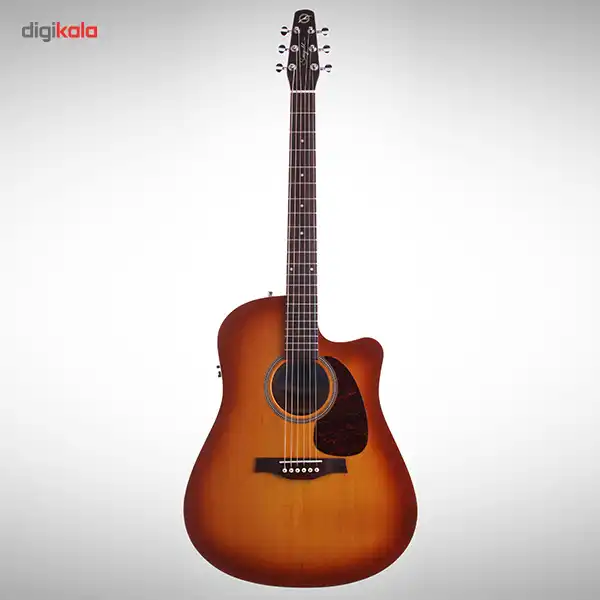 گیتار آکوستیک سیگول مدل Entourage Rustic CW QI
