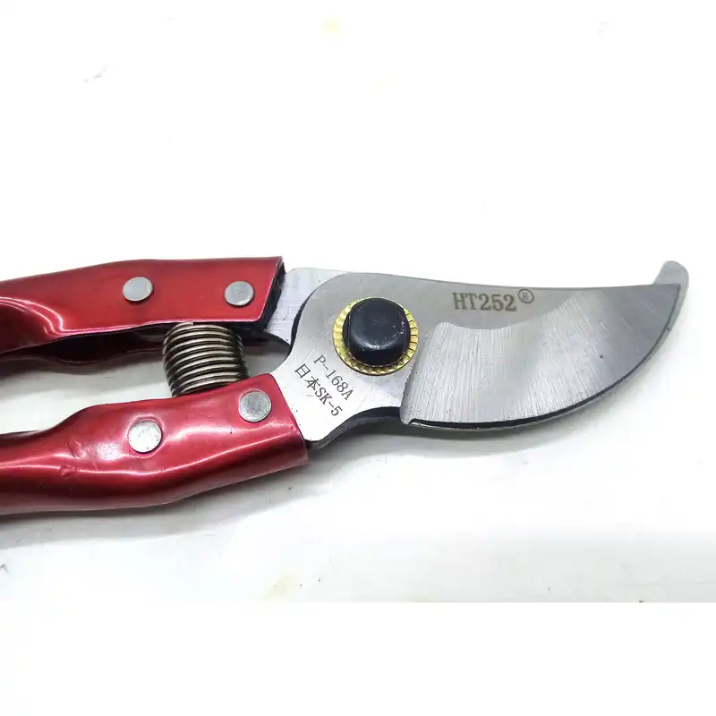 قیچی باغبانی اچتی مدل 252