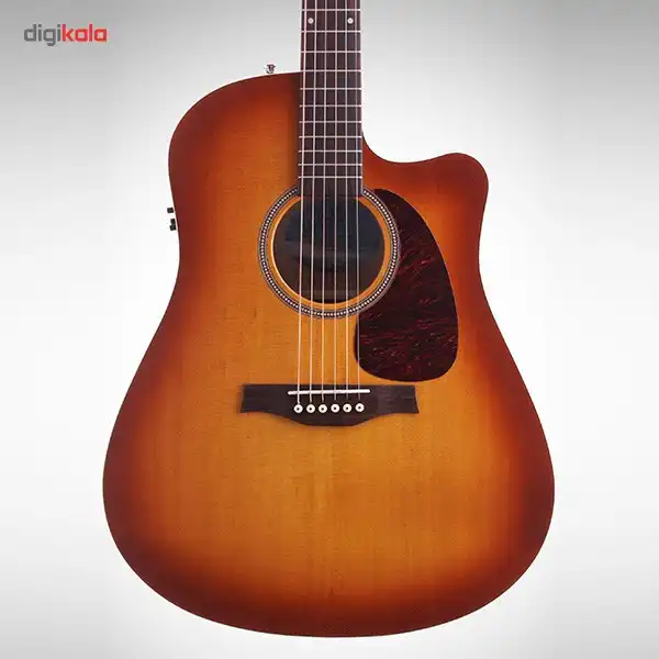 گیتار آکوستیک سیگول مدل Entourage Rustic CW QI