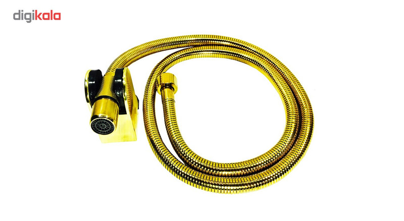 شلنگ توالت طلایی هامین