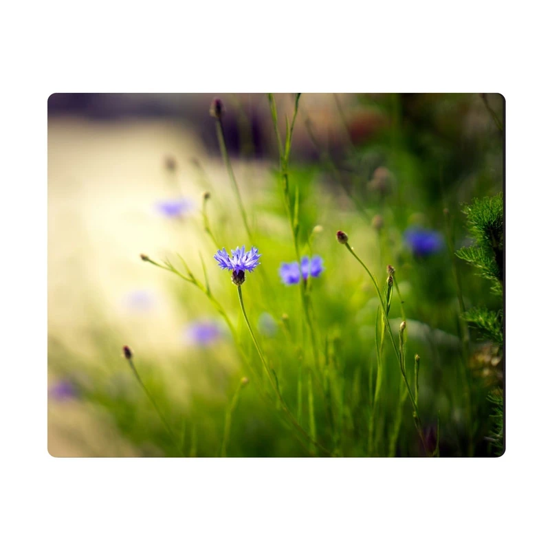 ماوس پد الینور مدل MPE318