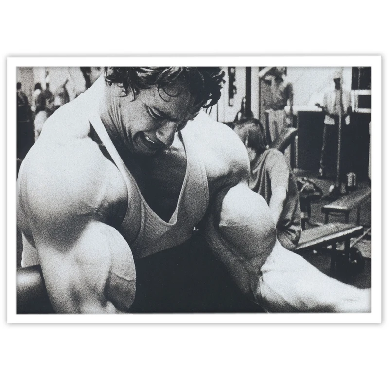 تابلو بکلیت طرح ورزش بدنسازی آرنولد مدل W-S2440