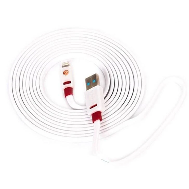 کابل تبدیل USB به لایتنینگ گریفین مدل Rb-09 طول 2 متر