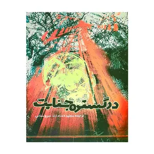 کتاب در گستره جنایات اثر سعیده سادات سروستانی انتشارات بین المللی نوید شیراز