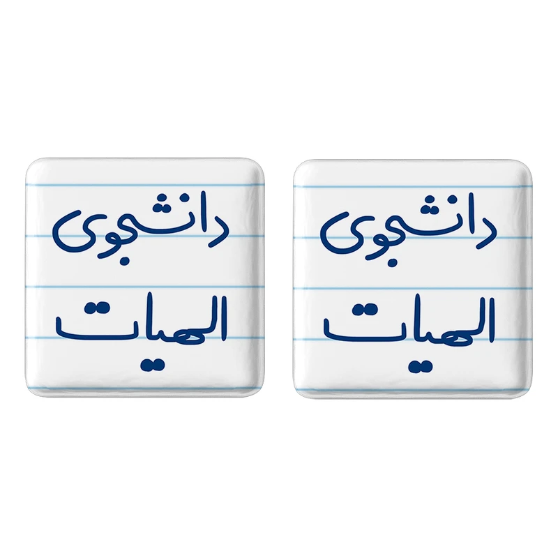 مگنت خندالو مدل دانشجوی الهیات کد 6618 مجموعه 2 عددی