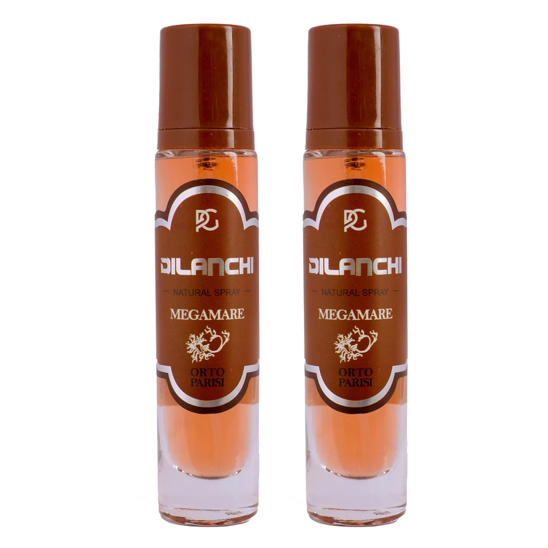 عطر جیبی مردانه دیلانچی مدل مگاماره با رایحه خنک حجم ۳۰ میلی‌لیتر مجموعه ۲ عددی