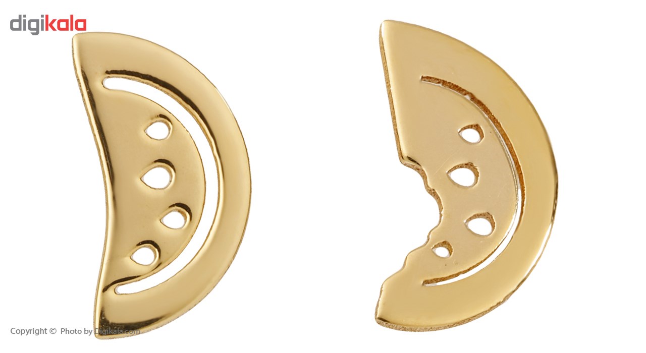 گوشواره طلای 18 عیار زنانه رزا مدل EG110 -  - 2