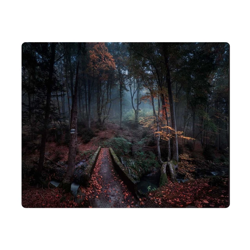 ماوس پد الینور مدل MPE295