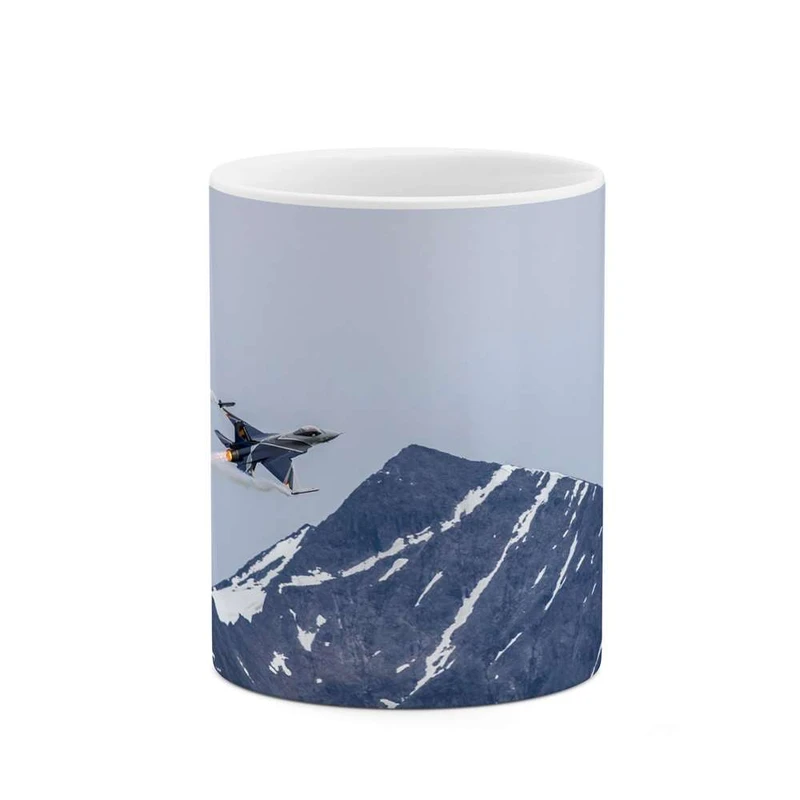 ماگ کاکتی مدل هواپیمای جنگنده کد mgh10601