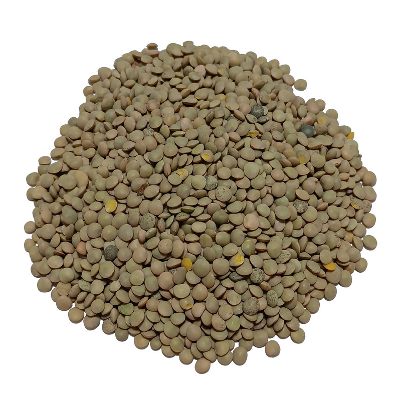 عدس ریز حبوبات شاد - 500 گرم
