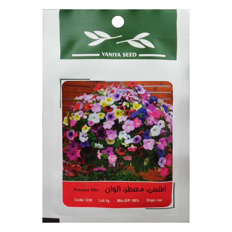 بذر گل اطلسی الوان وانیا سید مدل O39