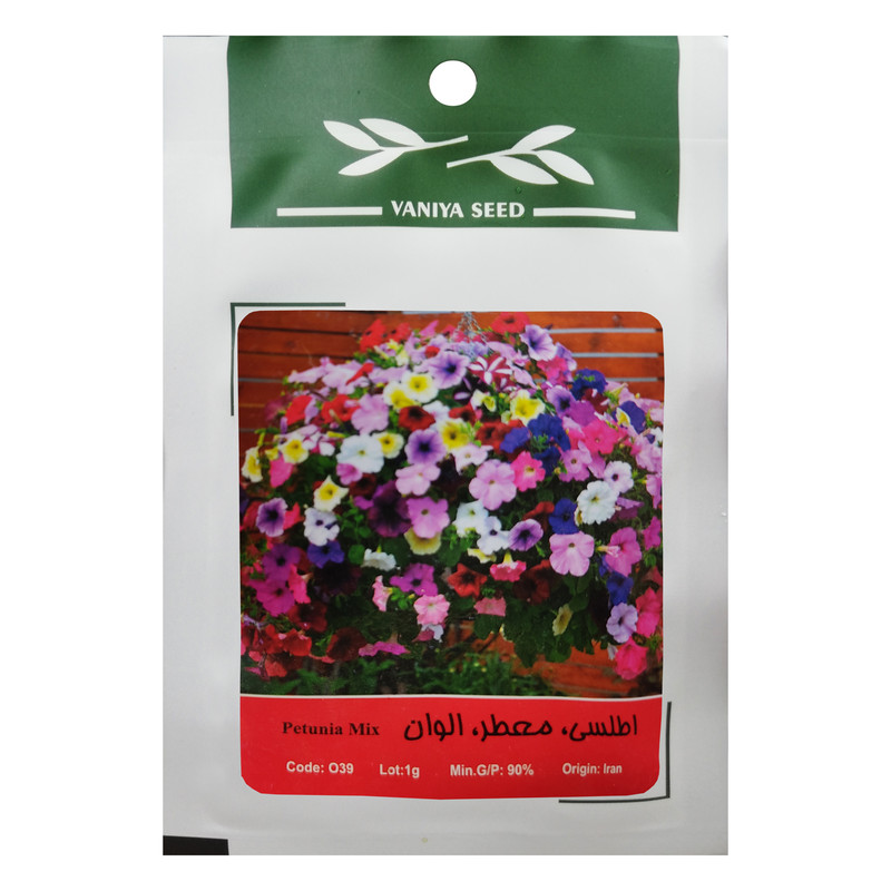 بذر گل اطلسی الوان وانیا سید مدل O39