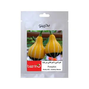 بذر کدو لامپی کدو گلابی دو رنگ بذرینو کد BZNO-212