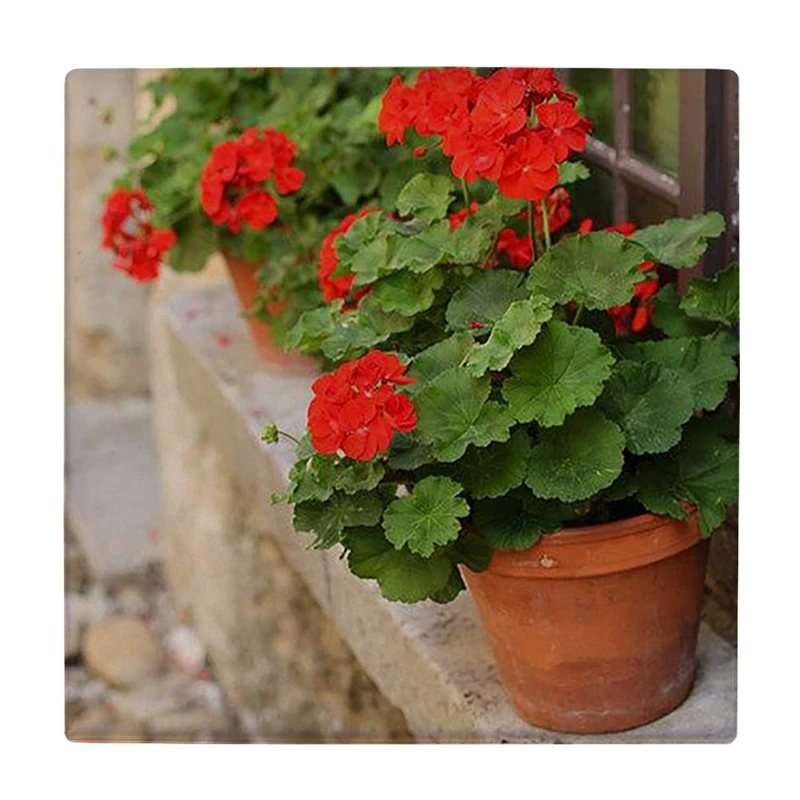  زیر لیوانی  طرح گلدان شمعدانی کد    6227625_5793