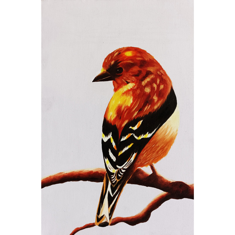 تابلو نقاشی رنگ روغن طرح پرنده کد 101