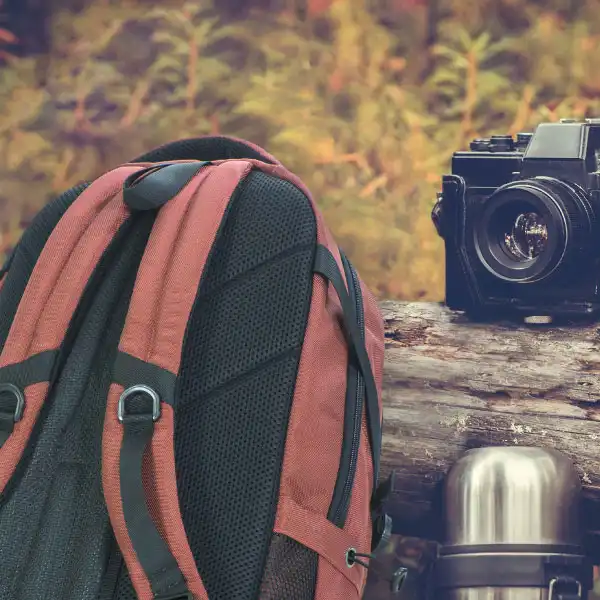 کوله پشتی نیلپر توریستر مدل توبن کد NTLB114