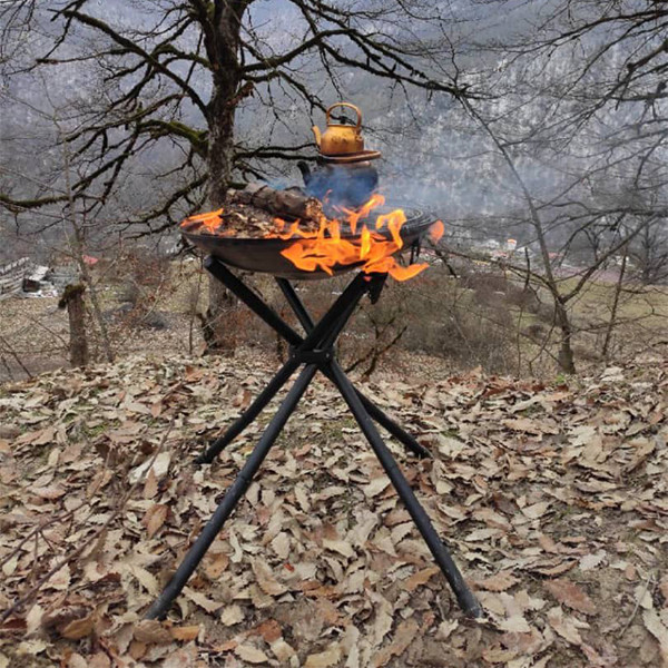 باربکیو مدل پارمیس