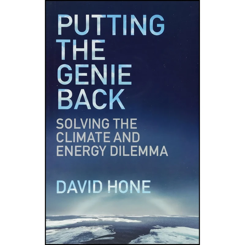 کتاب Putting the Genie Back اثر Hone David انتشارات Emerald Publishing