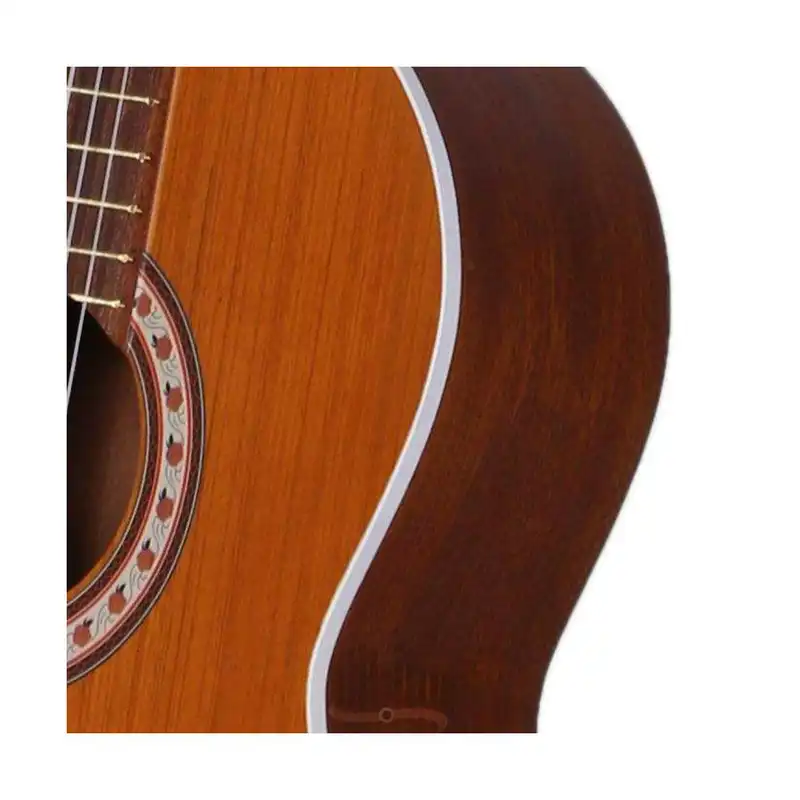 گیتار مدل m5