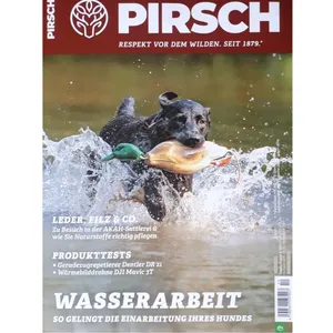 مجله PIRSCH جولای 2024
