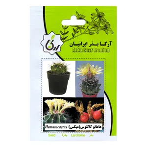 بذر هاماتو کاکتوس میکس آرکا بذر ایرانیان کد A24