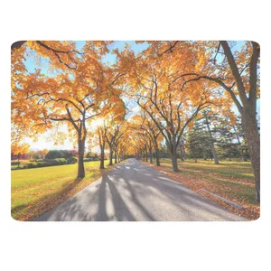 ماوس پد طرح طبیعت کد B405