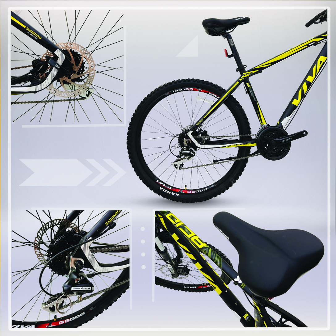 دوچرخه کوهستان ویوا مدل ACID کد هیدرولیک سایز 27.5