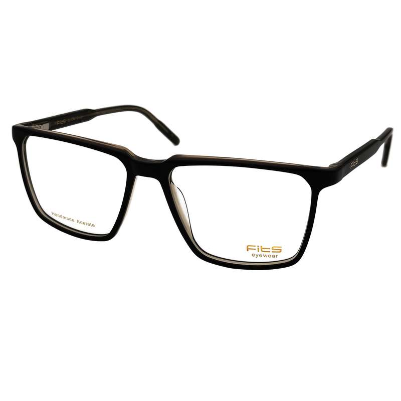 فریم عینک طبی مردانه فیتز مدل F-729 C3