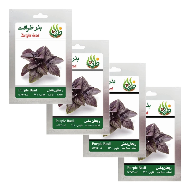 بذر ریحان بنفش ظرافت مدل BZ18373 بسته 4 عددی