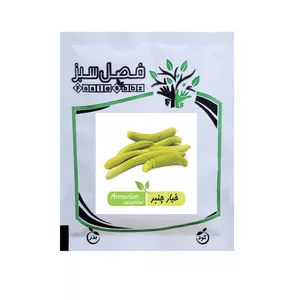 بذر خیار چنبر فصل سبز کد SEED-100g-20