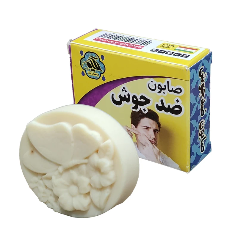 صابون شستشو گیاهستان حکیم مدل ضد جوش  وزن 70 گرم