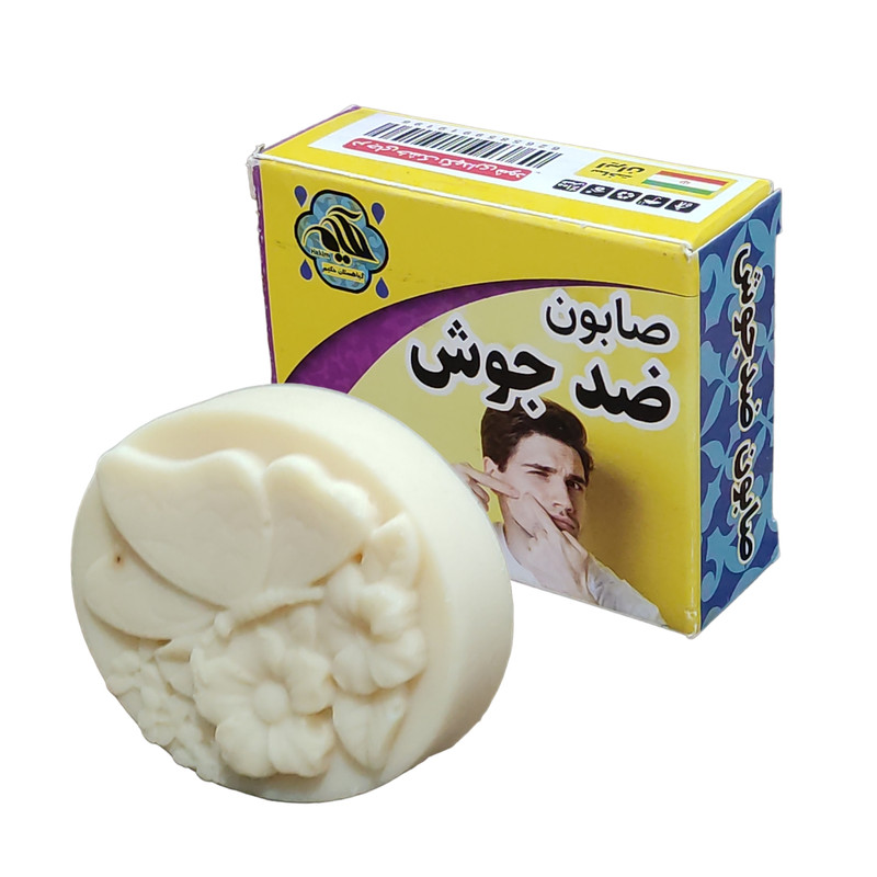 صابون شستشو گیاهستان حکیم مدل ضد جوش وزن 70 گرم صابون شستشو گیاهستان حکیم مدل ضد جوش وزن 70 گرم