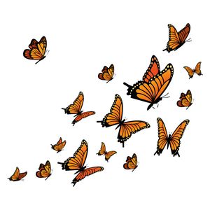 نقد و بررسی استیکر گراسیپا طرح پروانه ها کد 01 مجموعه 15 عددی توسط خریداران