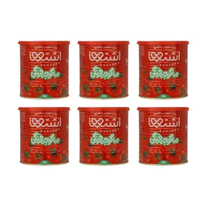 رب گوجه فرنگی اشتها - 800 گرم بسته 6 عددی