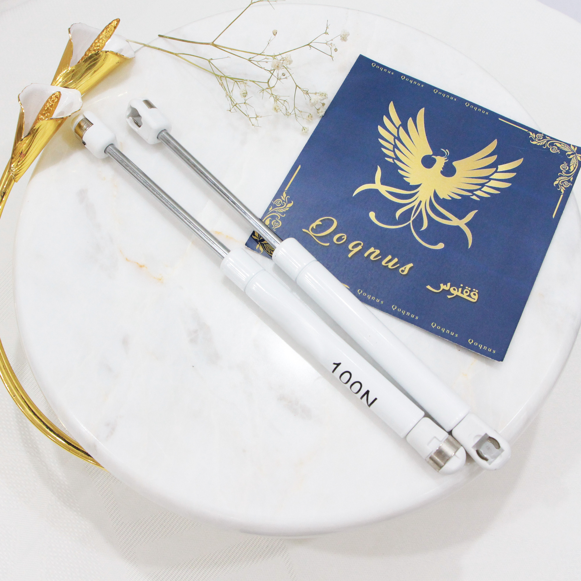 جک کابینت ققنوس مدل 100 نیوتن LUX مجموعه دو عددی جک کابینت ققنوس مدل 100 نیوتن LUX مجموعه دو عددی