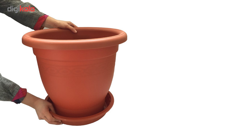 گلدان گلپونه مدل Benjamin 316