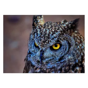 Wensoni Blue Eagle Owl Chassis 40 x 30